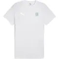 Puma Girona Fc Teamevostripe Kortarmet T-skjorte