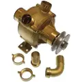 Goldenship Mekanisk Vannpumpe