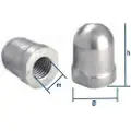 Tecnoseal Renault Couach Akselmutter