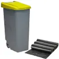 Wellhome Gjenvinningsbeholder 110 Liter Lukket + 3 Søppelsekker Med 51x42.5x87.5 Cm 10 Enheter