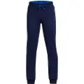 Under Armour Fleece Pro Joggers
