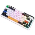 Royal Kludge KZZI K75 pro RGB trådløst mekanisk tastatur, Moment Switch (svart og hvit) (QWERTY)
