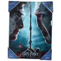 SD Toys Harry Potter Og Voldemort Glassplakat