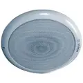 Bosch LC1-UM06E8 - Høyttaler - for høyttaleranlegg - 6 watt - hvit, RAL 9010