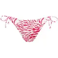 Barts Galia Tanga Bikini Bunn
