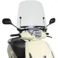 Puig T.g Peugeot Vivacity 3 50 4t E2 2017 Frontrute