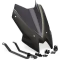 Puig New Generation Sport 3864f Sportsvindskjerm