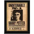 Noble Collection Harry Potter Uønsket Nº1 30x21 Cm