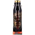 Stor Rustfritt Stål Dragon Ball Z Termos 580ml