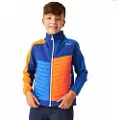 Regatta Brynden Softshelljakke