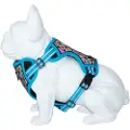 Freedog Boreal Hundesele