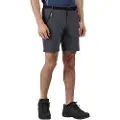 Regatta Xert Stretch Iii Shorts