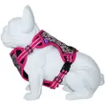 Freedog Boreal Hundesele