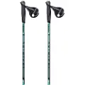 Masters MA Nordic Training Walking Pole, Vandrestaver