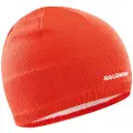 Salomon Logo Lue