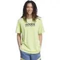 Adidas All Szn Graphic Kortarmet T-skjorte