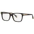 Roberto Cavalli Vrc019m Briller