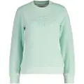 Gant Tonal Shield Collegegenser