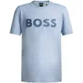 Hugo Boss Tl Logo Collegegenser