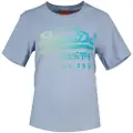 Superdry Tonal Vl Graphic Relaxed Kortarmet T-skjorte