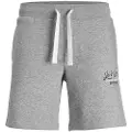 Jack & Jones Jpstandy Sports Shorts