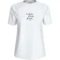 Calvin Klein Jeans Font Graphic Kortarmet T-skjorte