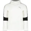 Puma Evostripe Collegegenser