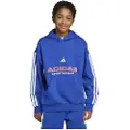 Adidas House Of Tiro Fleece Hettegenser