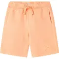 Pepe Jeans Charles Shorts
