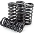 Dp Brakes Hds70-5 Honda Cr125r 2000-2003 Clutchfjærsett 5 Enheter