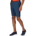 Regatta Highton Long Shorts