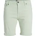 Jack & Jones Rick Icon Ama Shorts