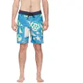 Volcom Geo Stoney 19´´ Badebukse