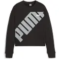 Puma Power Collegegenser