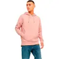 Jack & Jones Bluarchie Hetteskjorte