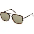 Tods To0370 Solbriller