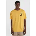 O'Neill Future Surf Society Kortarmet T-skjorte