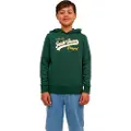 Jack & Jones Logo Hetteskjorte
