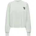 ONLY Pixas Collegegenser