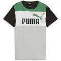 Puma Ess Block Kortarmet T-skjorte