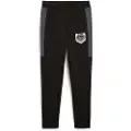 Puma Active Sports Graphic Svettbukser