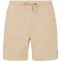 Protest Uleyo Shorts