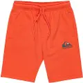 Quiksilver Easy Day Sports Shorts