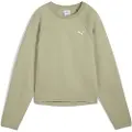 Puma Evostripe Comfort Short Collegegenser