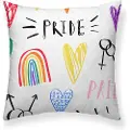 Belum Pride 5 Lounger Putetrekk 45x45 Cm