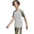 Adidas Seasonal Essentials Colorblock Kortarmet T-skjorte