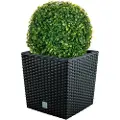Wellhome Rato 32x32x32.5 Cm/27 Cm Blomsterpotte