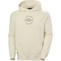 Helly Hansen Core Graphic Hetteskjorte