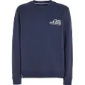 Tommy Hilfiger Reg Entry Graphic Collegegenser