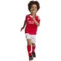 Adidas Benfica 24/25 Hjem Juniorsett